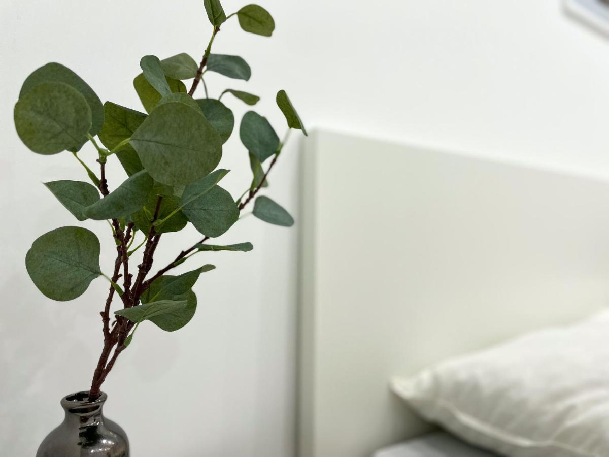 Ferienwohnung Schoenes Maifeld Polch Ngoại thất bức ảnh